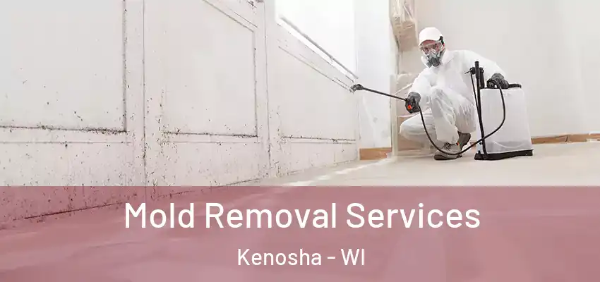  Mold Removal Services Kenosha - WI