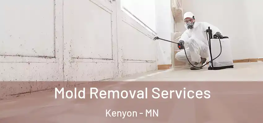 Mold Removal Services Kenyon - MN