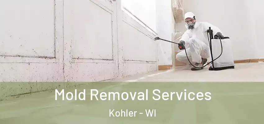  Mold Removal Services Kohler - WI