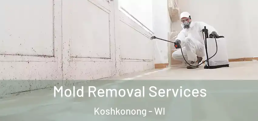  Mold Removal Services Koshkonong - WI