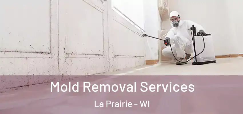  Mold Removal Services La Prairie - WI