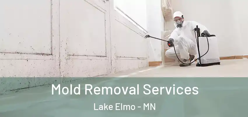  Mold Removal Services Lake Elmo - MN