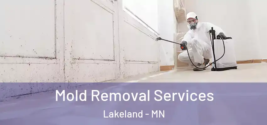  Mold Removal Services Lakeland - MN