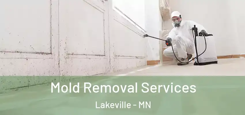  Mold Removal Services Lakeville - MN
