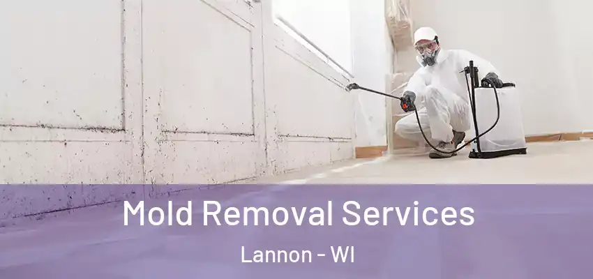  Mold Removal Services Lannon - WI