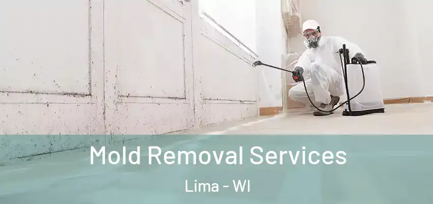  Mold Removal Services Lima - WI