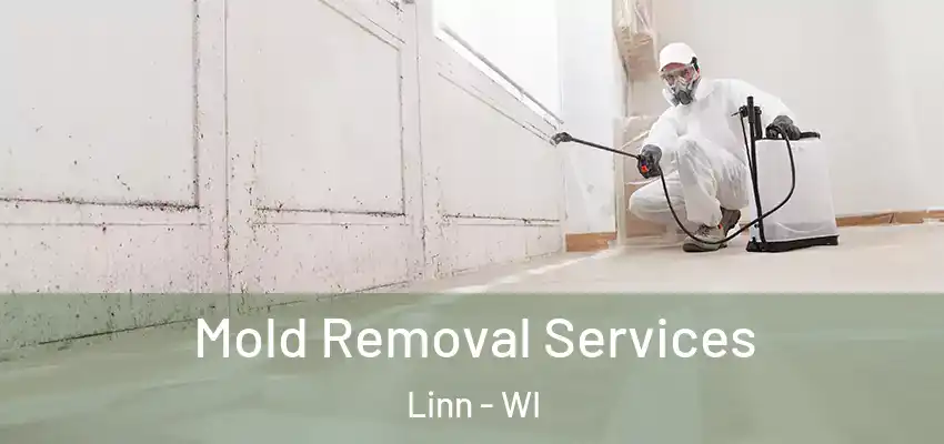 Mold Removal Services Linn - WI