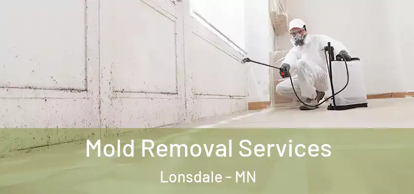  Mold Removal Services Lonsdale - MN