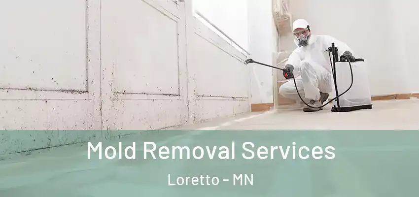  Mold Removal Services Loretto - MN