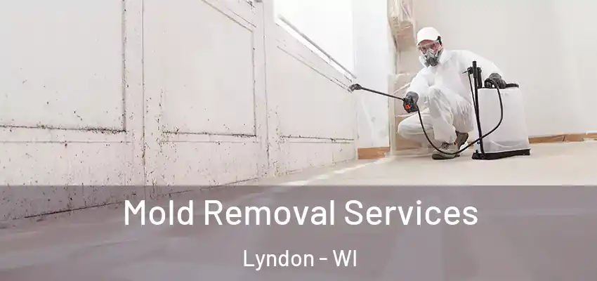 Mold Removal Services Lyndon - WI