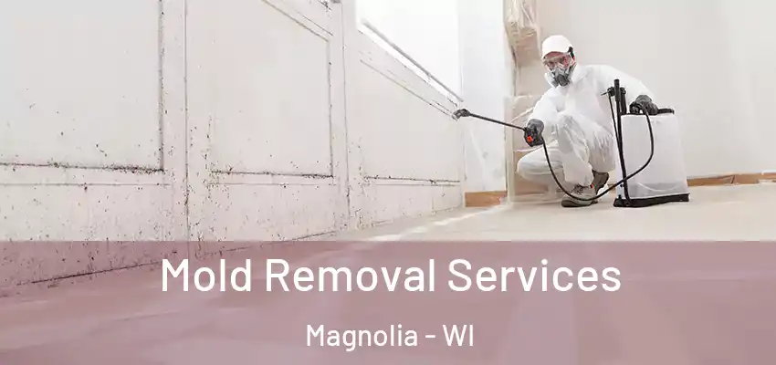  Mold Removal Services Magnolia - WI