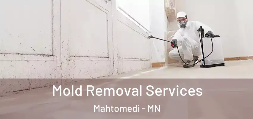  Mold Removal Services Mahtomedi - MN