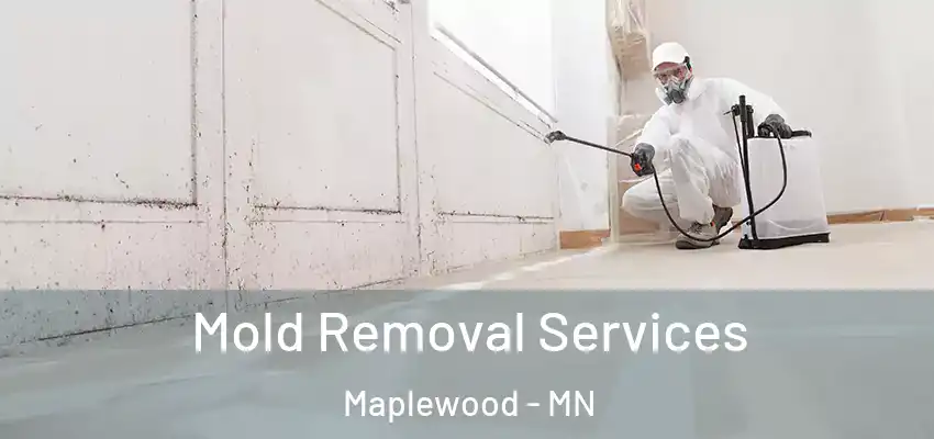 Mold Removal Services Maplewood - MN