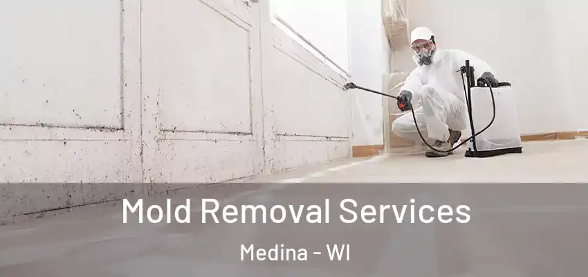 Mold Removal Services Medina - WI