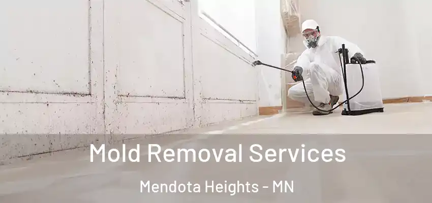  Mold Removal Services Mendota Heights - MN