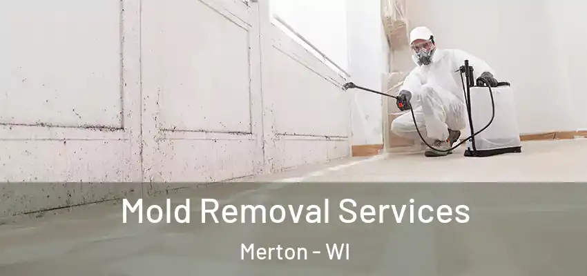  Mold Removal Services Merton - WI