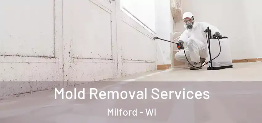 Mold Removal Services Milford - WI