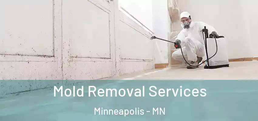  Mold Removal Services Minneapolis - MN