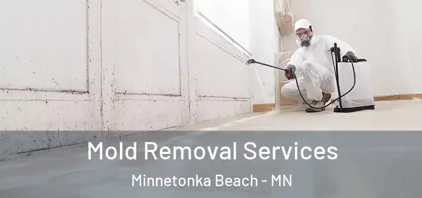  Mold Removal Services Minnetonka Beach - MN