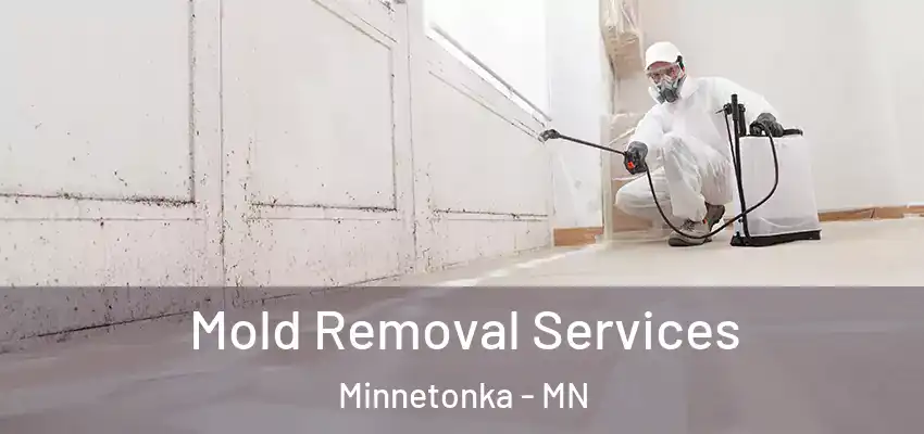  Mold Removal Services Minnetonka - MN