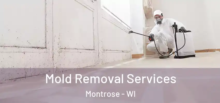 Mold Removal Services Montrose - WI