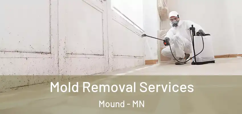 Mold Removal Services Mound - MN