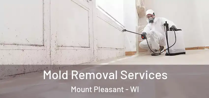  Mold Removal Services Mount Pleasant - WI