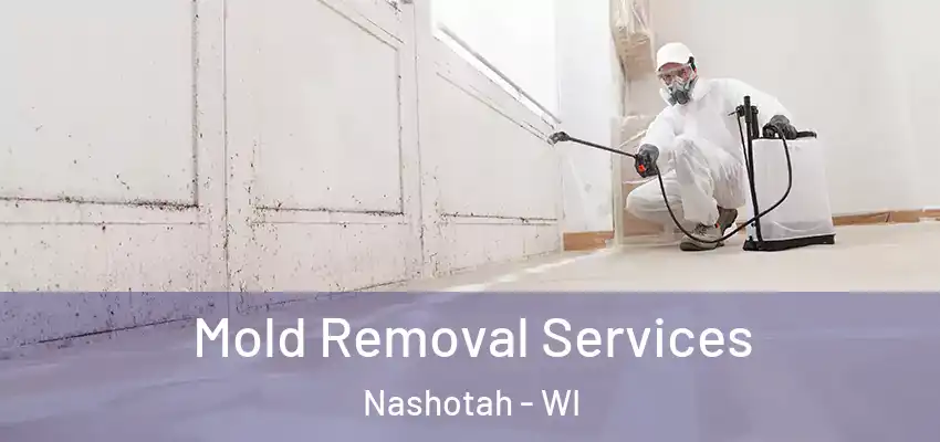  Mold Removal Services Nashotah - WI