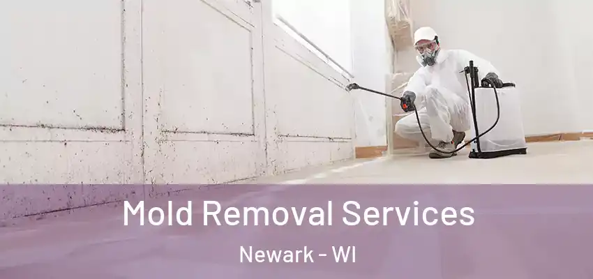  Mold Removal Services Newark - WI