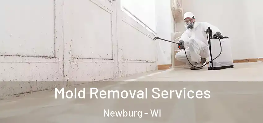  Mold Removal Services Newburg - WI