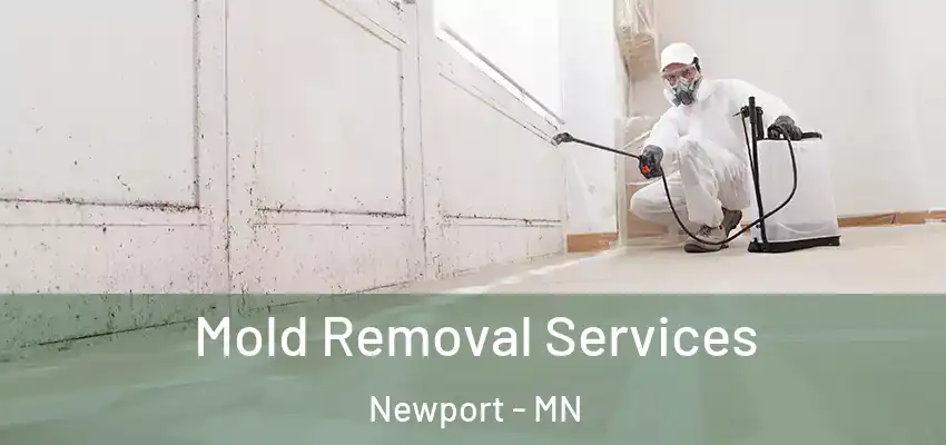  Mold Removal Services Newport - MN