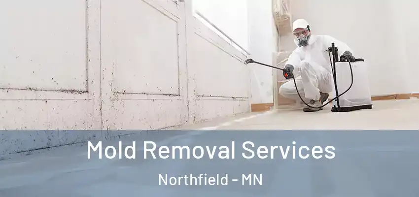 Mold Removal Services Northfield - MN