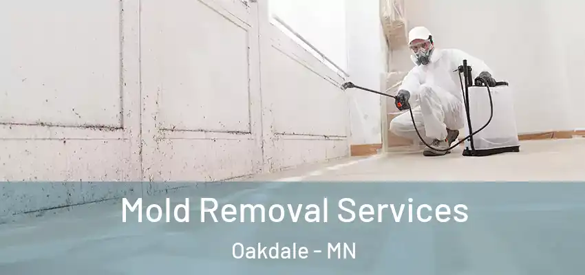  Mold Removal Services Oakdale - MN