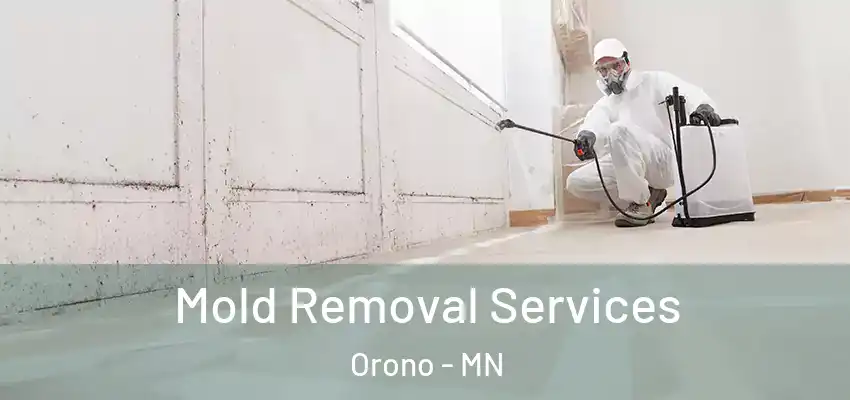 Mold Removal Services Orono - MN