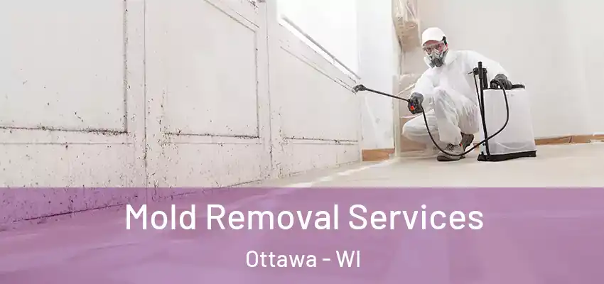 Mold Removal Services Ottawa - WI