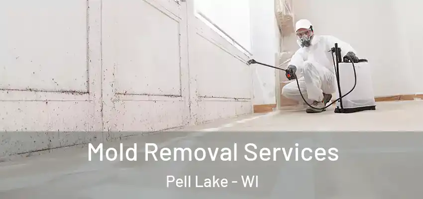  Mold Removal Services Pell Lake - WI