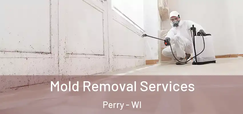 Mold Removal Services Perry - WI