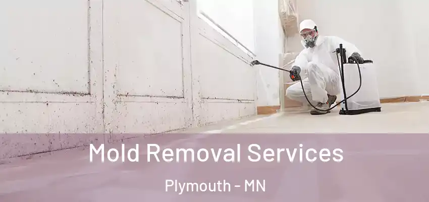  Mold Removal Services Plymouth - MN