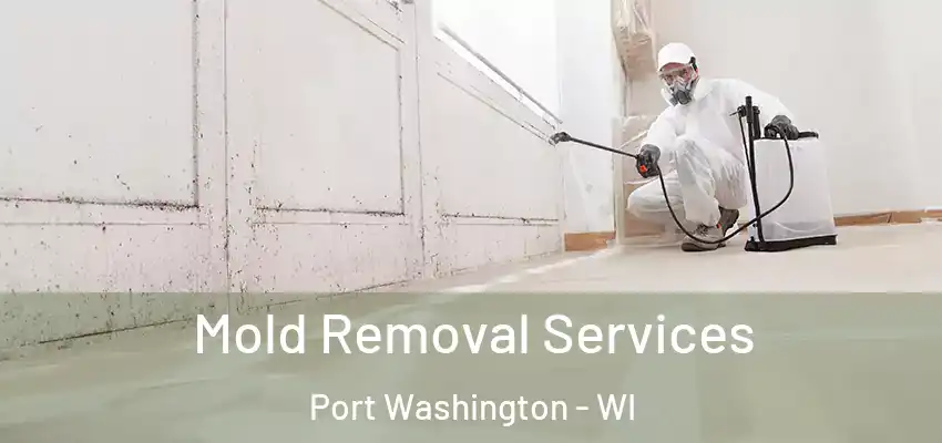  Mold Removal Services Port Washington - WI