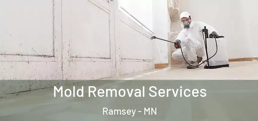 Mold Removal Services Ramsey - MN