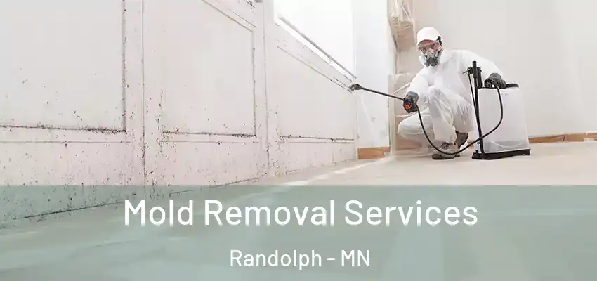 Mold Removal Services Randolph - MN