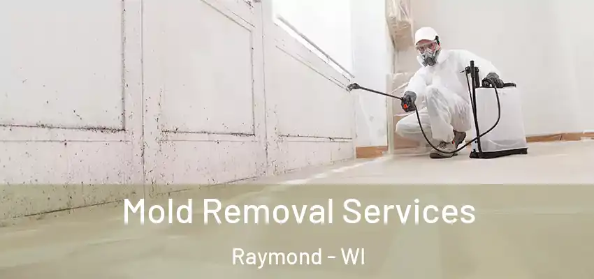 Mold Removal Services Raymond - WI