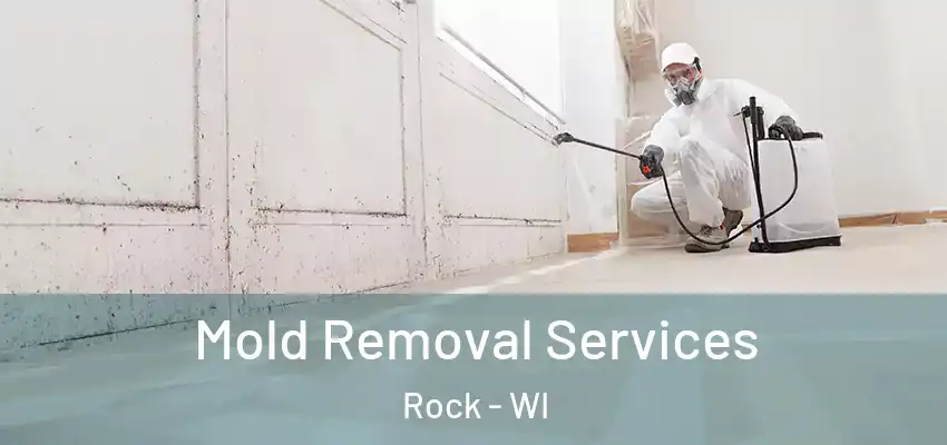  Mold Removal Services Rock - WI