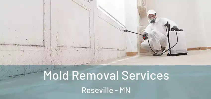  Mold Removal Services Roseville - MN