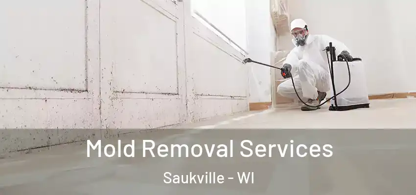  Mold Removal Services Saukville - WI