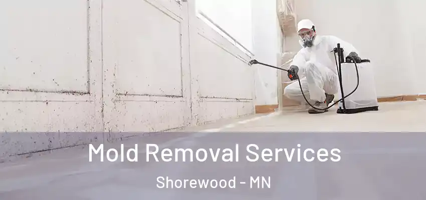  Mold Removal Services Shorewood - MN