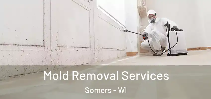  Mold Removal Services Somers - WI