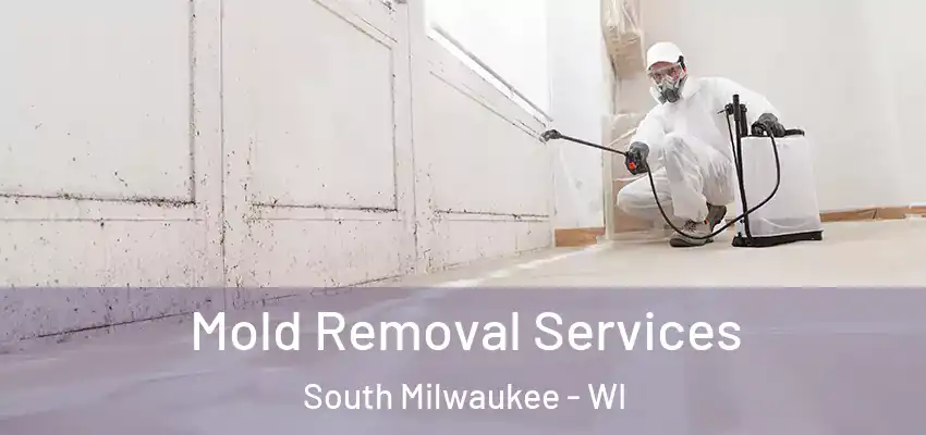  Mold Removal Services South Milwaukee - WI