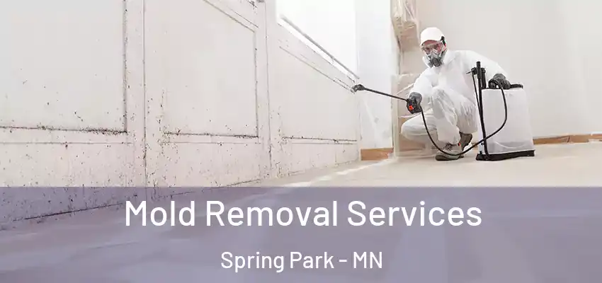 Mold Removal Services Spring Park - MN