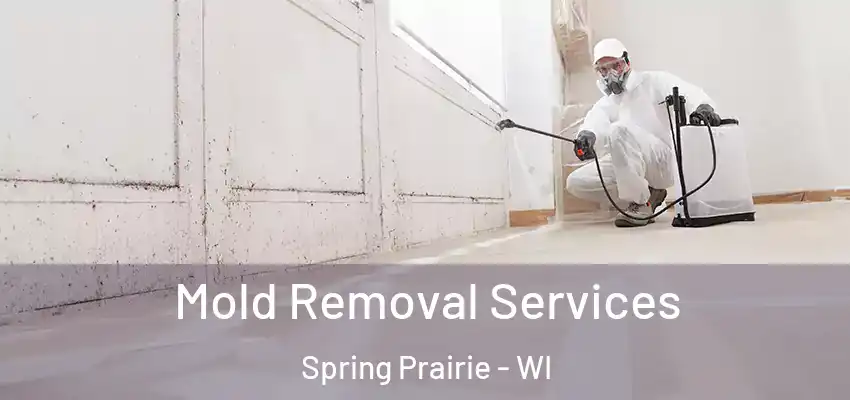 Mold Removal Services Spring Prairie - WI